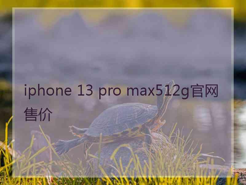 iphone 13 pro max512g官网售价