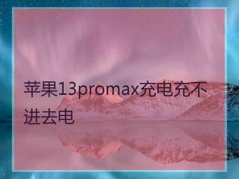 苹果13promax充电充不进去电