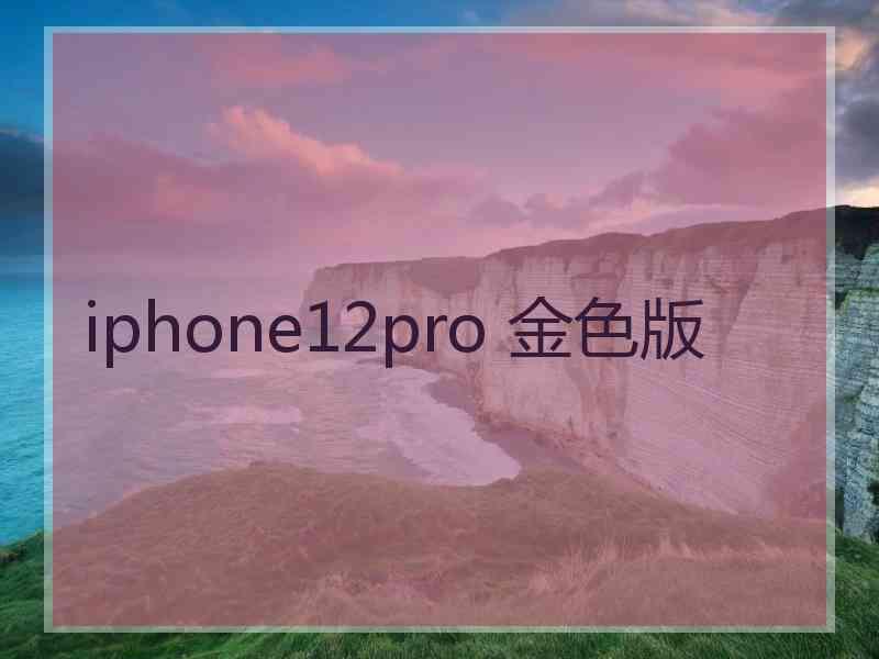 iphone12pro 金色版