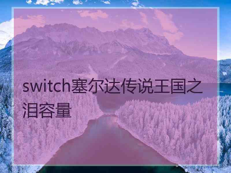 switch塞尔达传说王国之泪容量