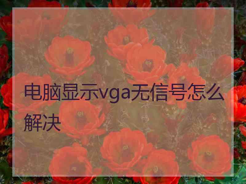 电脑显示vga无信号怎么解决