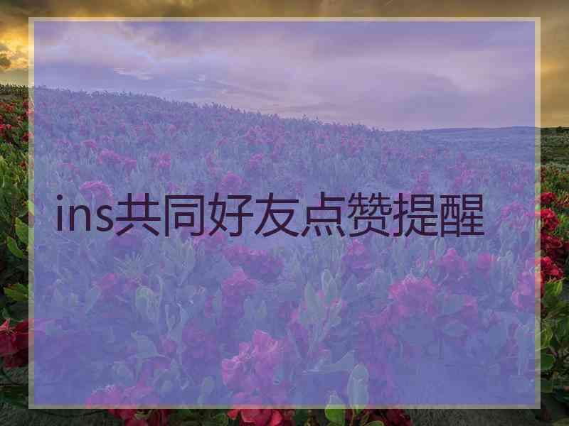 ins共同好友点赞提醒