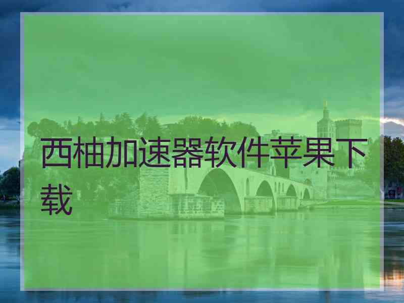 西柚加速器软件苹果下载