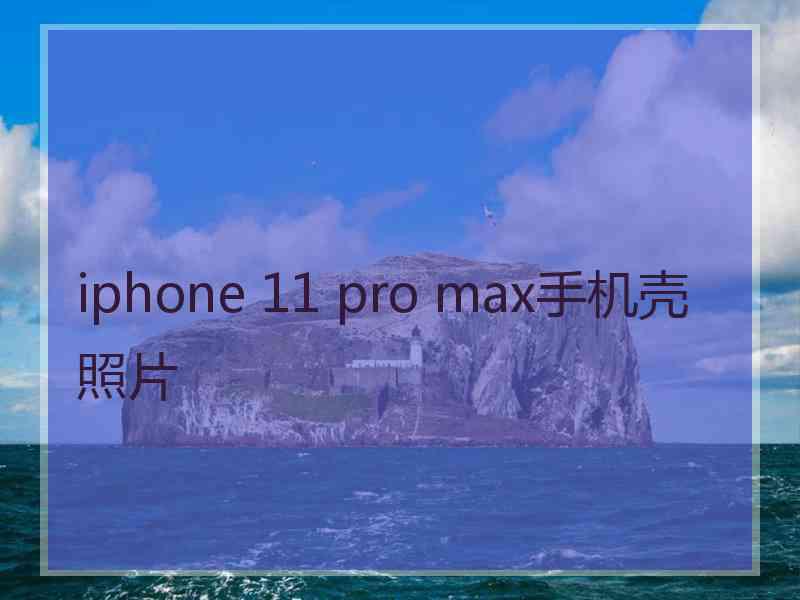 iphone 11 pro max手机壳照片