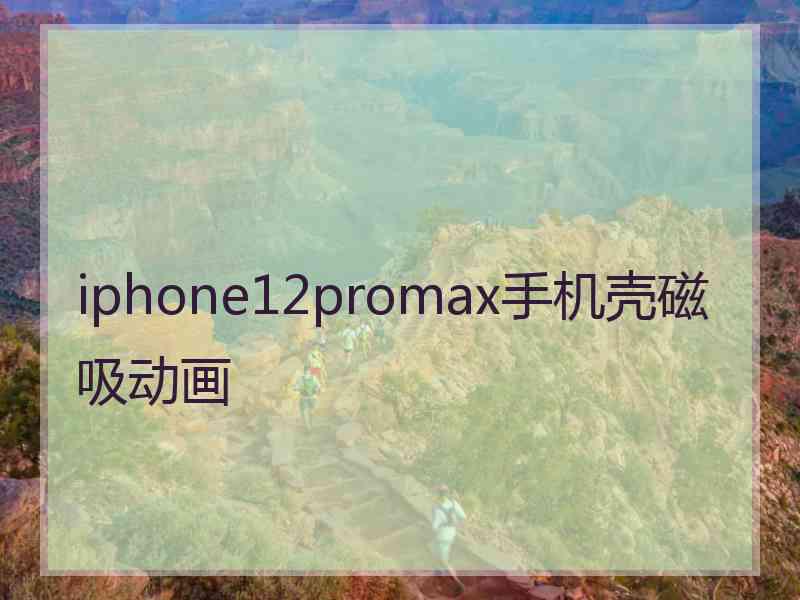 iphone12promax手机壳磁吸动画