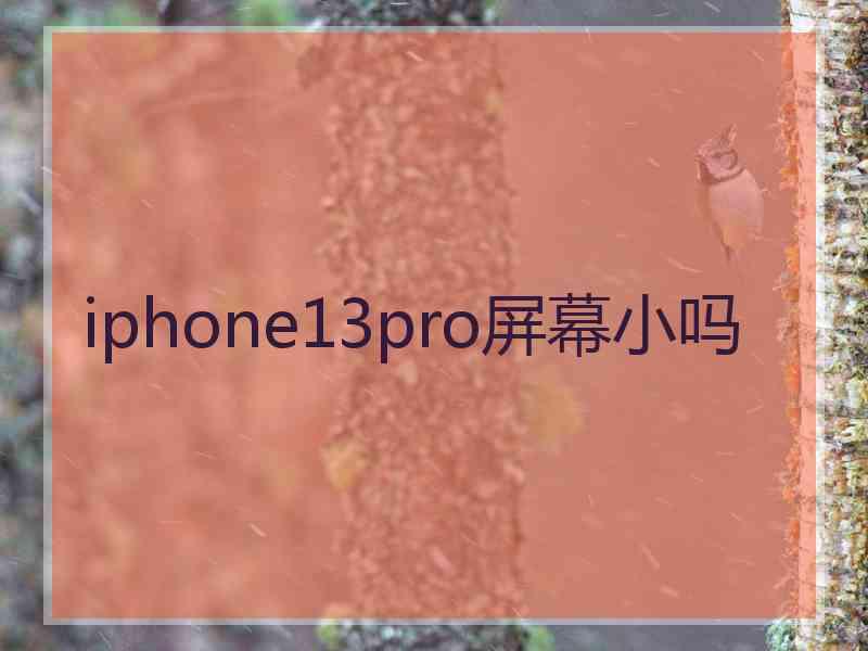 iphone13pro屏幕小吗