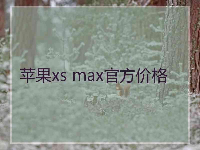 苹果xs max官方价格