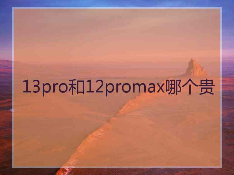 13pro和12promax哪个贵