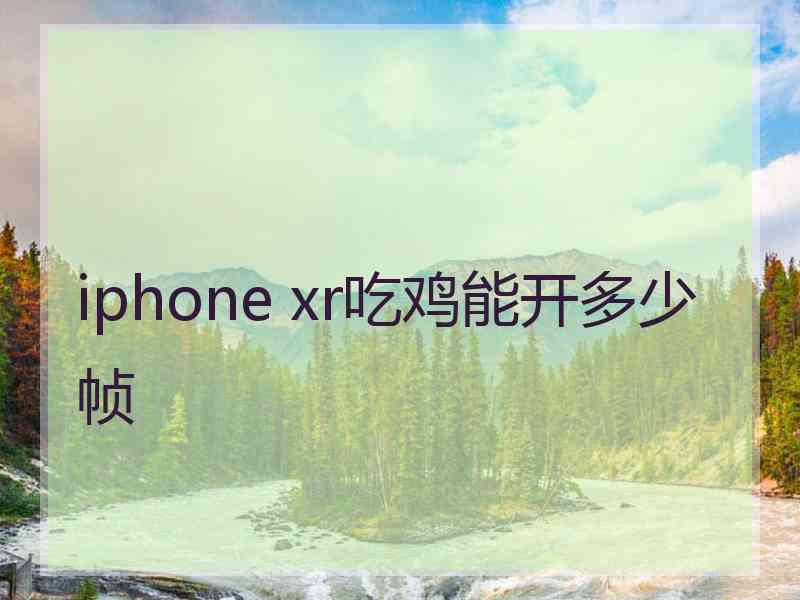 iphone xr吃鸡能开多少帧