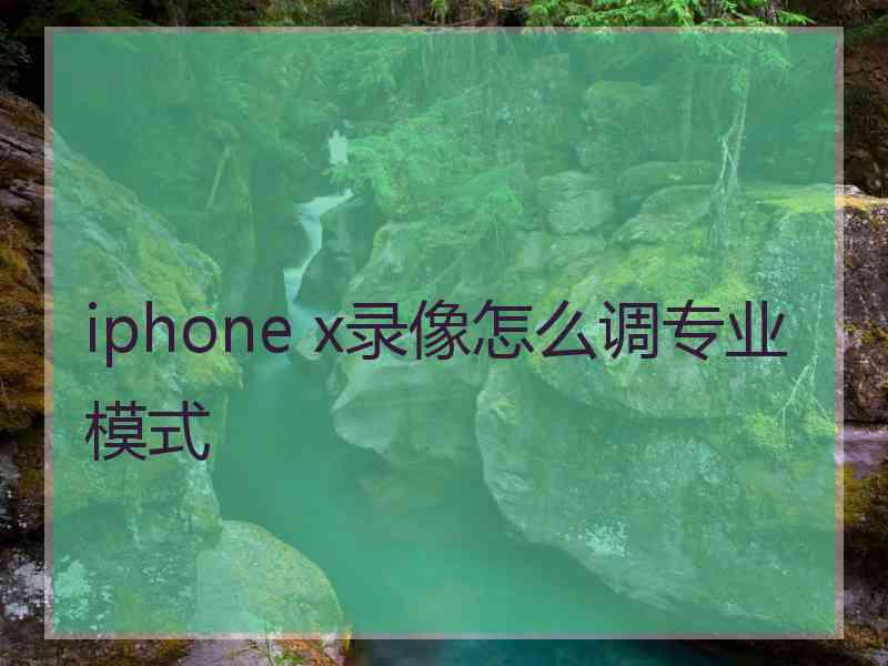 iphone x录像怎么调专业模式