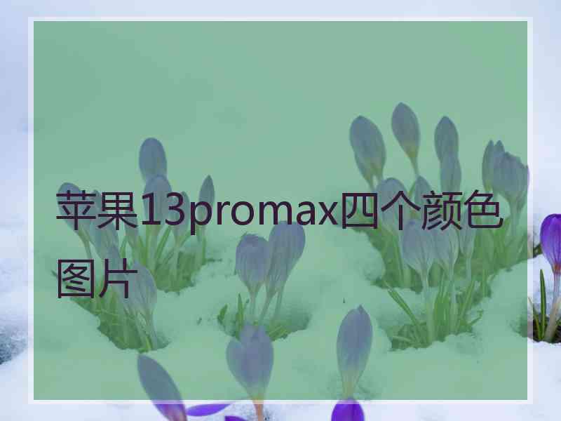 苹果13promax四个颜色图片