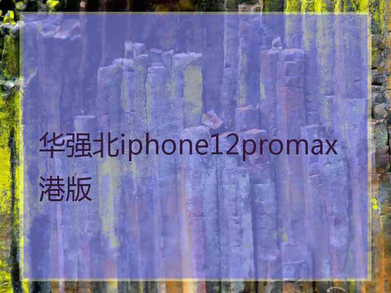 华强北iphone12promax港版