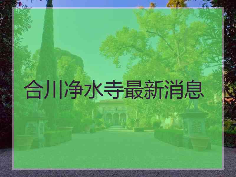 合川净水寺最新消息