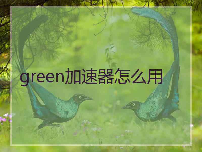 green加速器怎么用