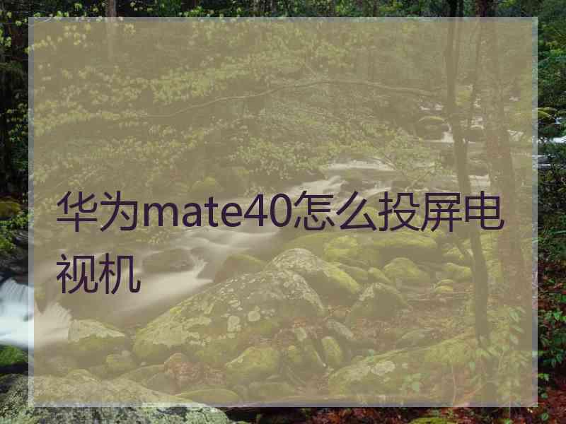 华为mate40怎么投屏电视机