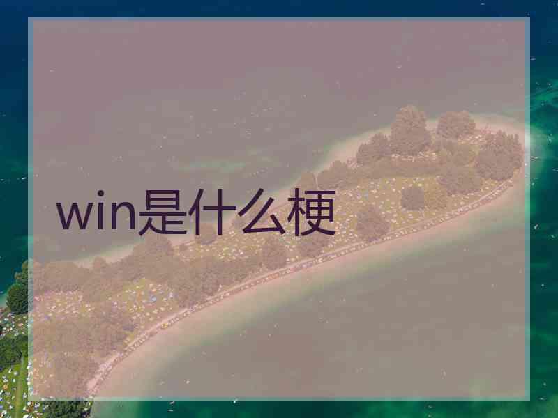 win是什么梗