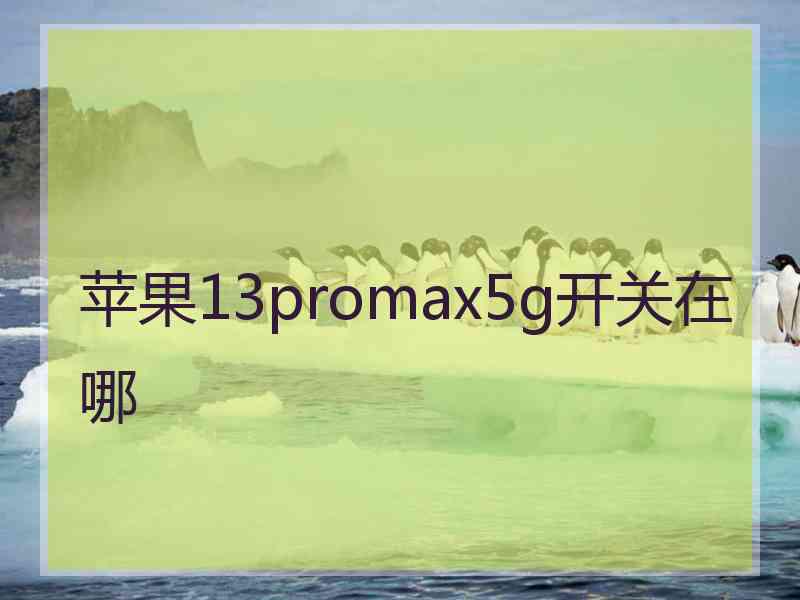 苹果13promax5g开关在哪