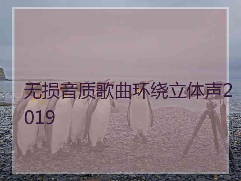 无损音质歌曲环绕立体声2019