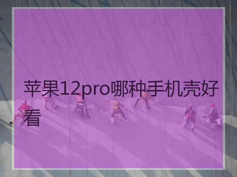 苹果12pro哪种手机壳好看