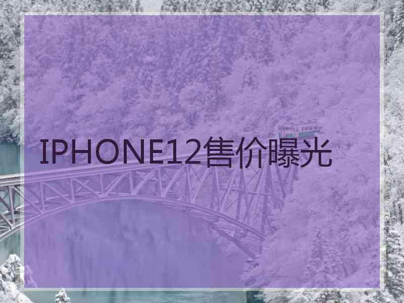 IPHONE12售价曝光