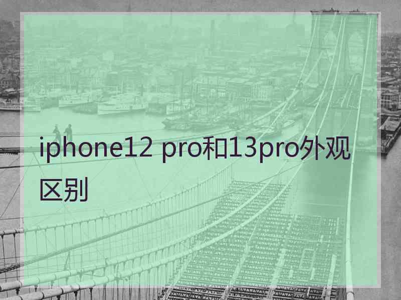 iphone12 pro和13pro外观区别