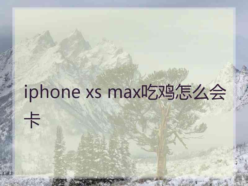 iphone xs max吃鸡怎么会卡