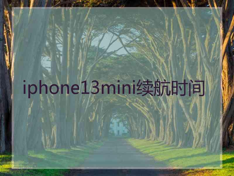 iphone13mini续航时间