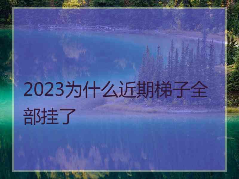 2023为什么近期梯子全部挂了