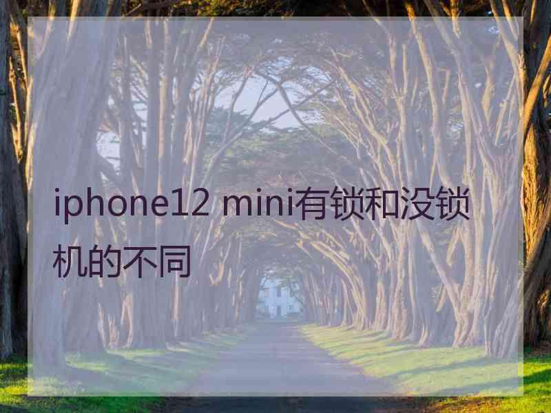 iphone12 mini有锁和没锁机的不同