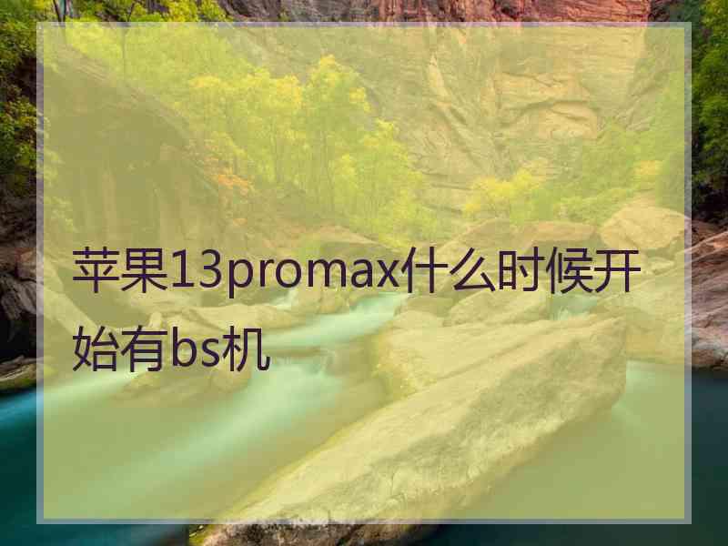 苹果13promax什么时候开始有bs机