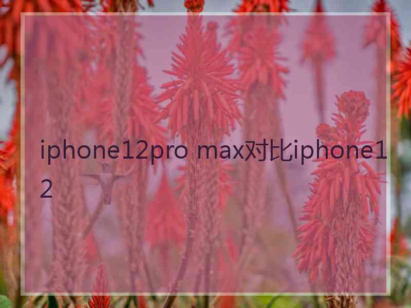 iphone12pro max对比iphone12