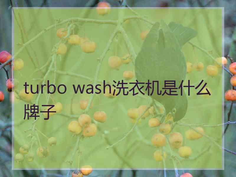 turbo wash洗衣机是什么牌子