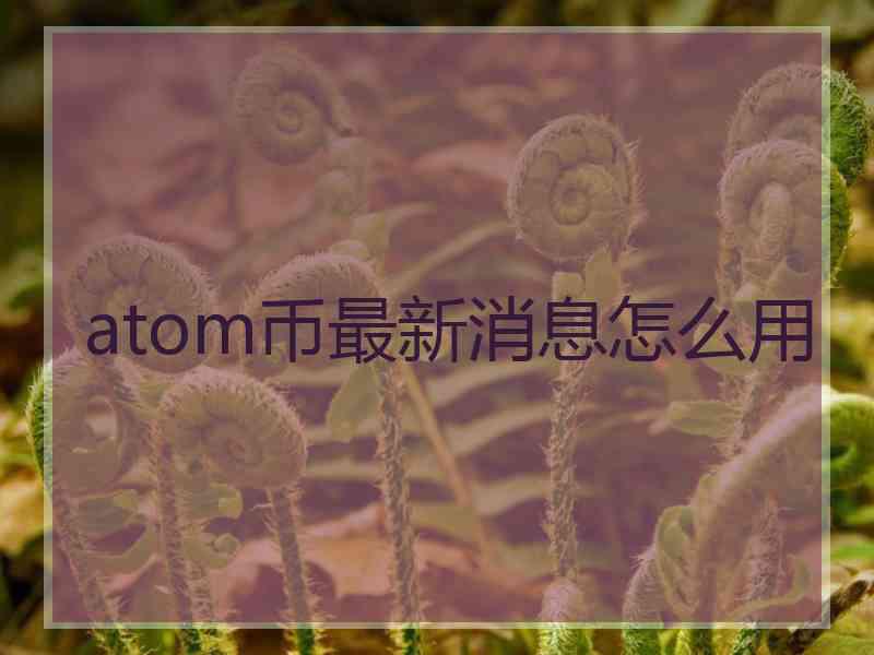 atom币最新消息怎么用