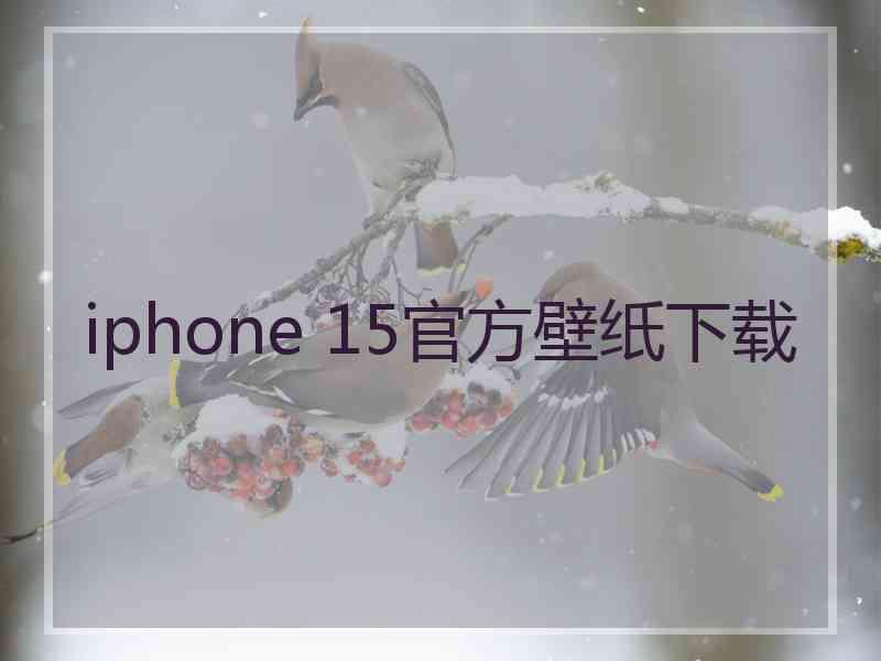 iphone 15官方壁纸下载