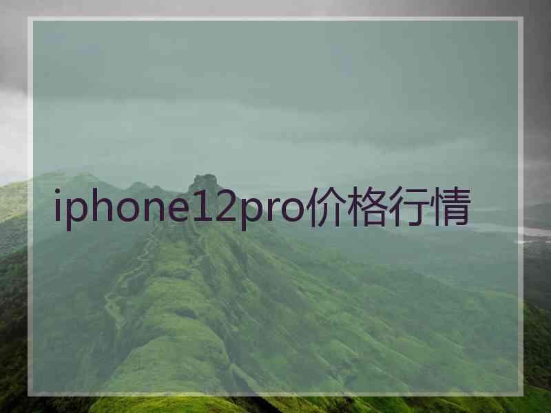 iphone12pro价格行情