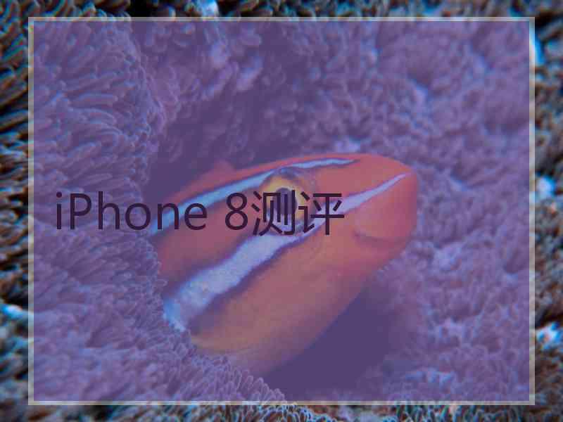 iPhone 8测评