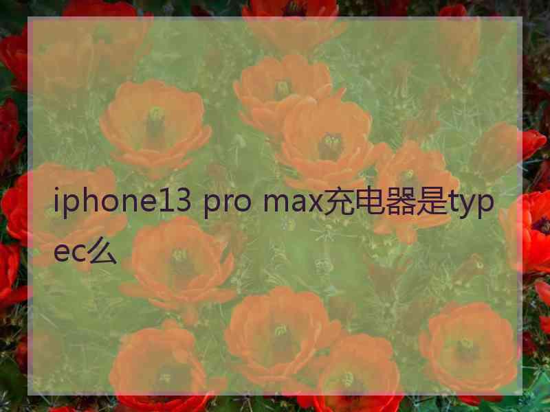 iphone13 pro max充电器是typec么