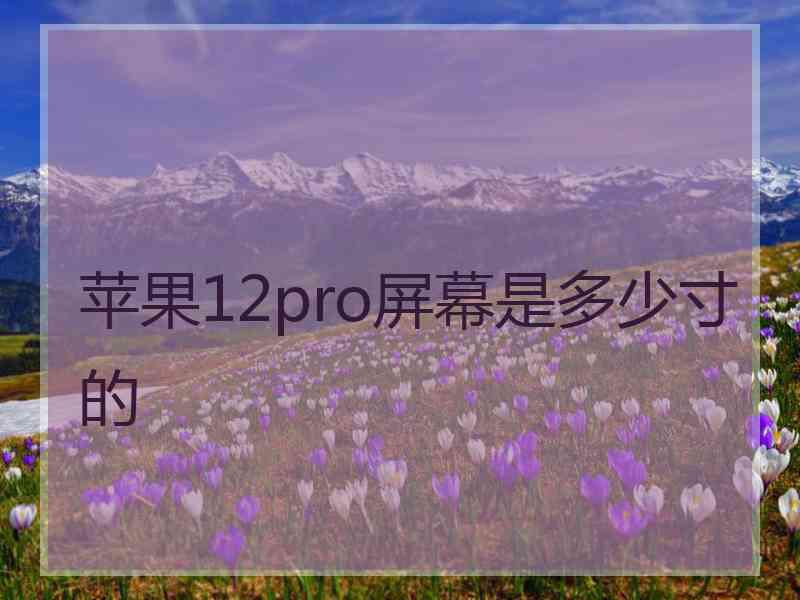 苹果12pro屏幕是多少寸的