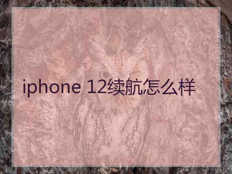 iphone 12续航怎么样