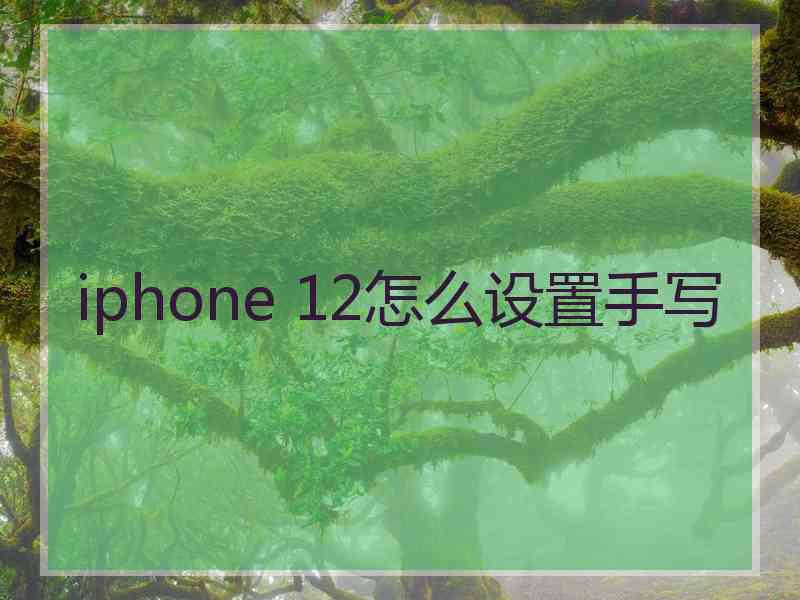 iphone 12怎么设置手写