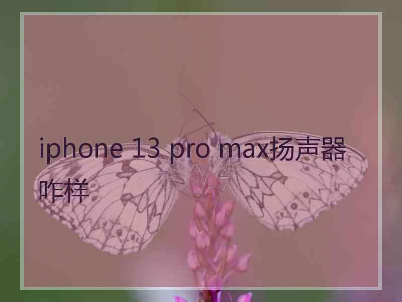 iphone 13 pro max扬声器咋样