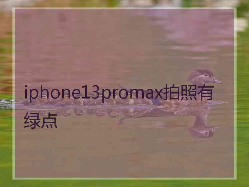 iphone13promax拍照有绿点