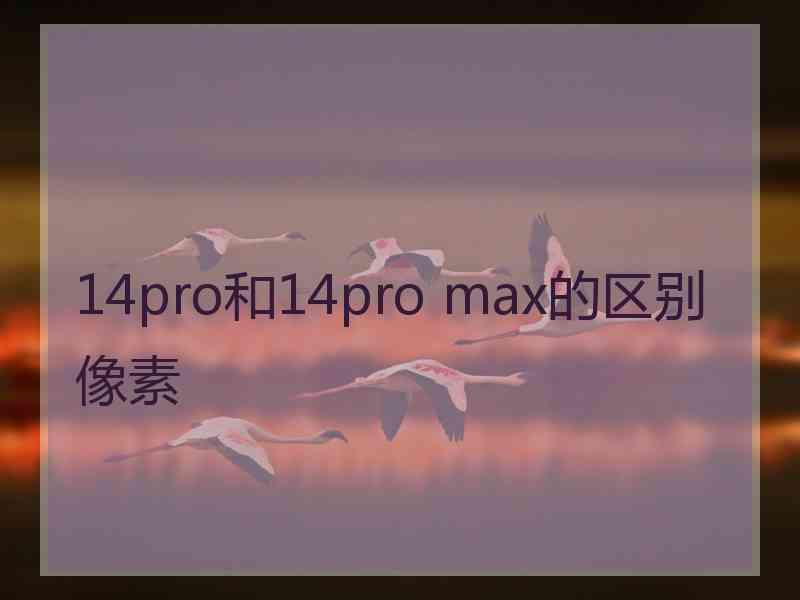 14pro和14pro max的区别像素