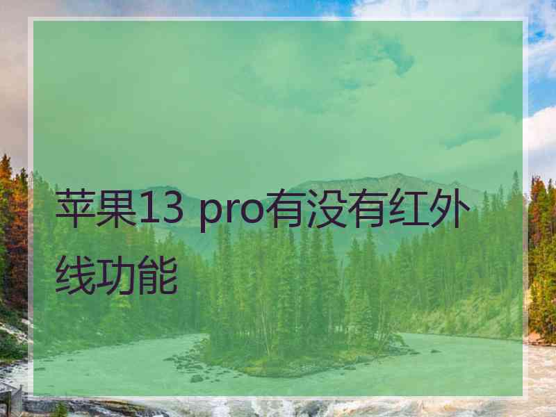 苹果13 pro有没有红外线功能