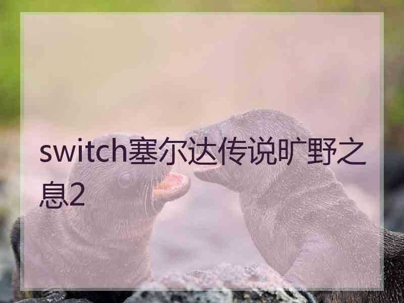 switch塞尔达传说旷野之息2