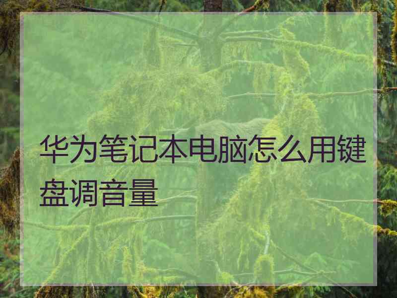 华为笔记本电脑怎么用键盘调音量