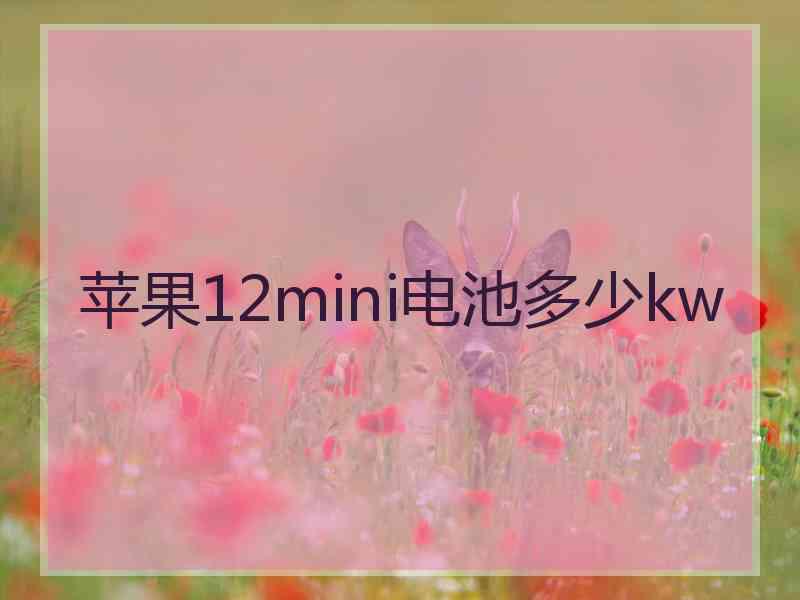 苹果12mini电池多少kw