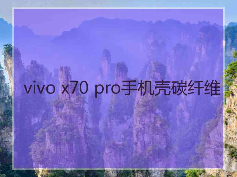 vivo x70 pro手机壳碳纤维