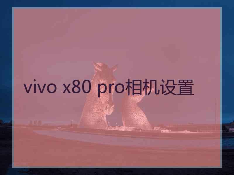 vivo x80 pro相机设置