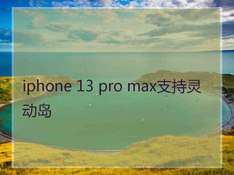 iphone 13 pro max支持灵动岛